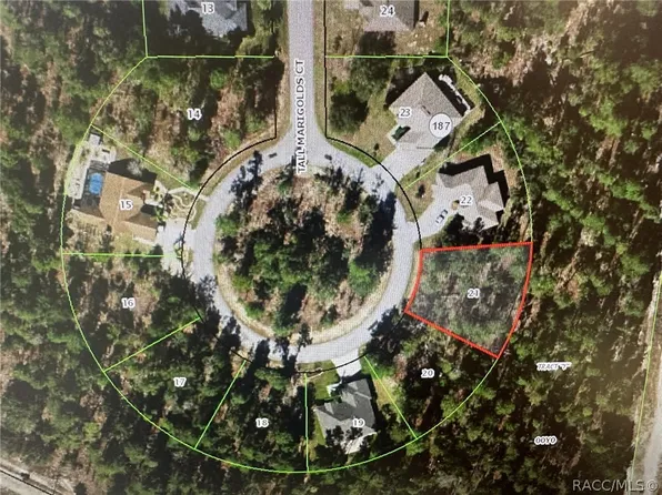 34 Tall Marigolds Ct, Homosassa, FL 34446