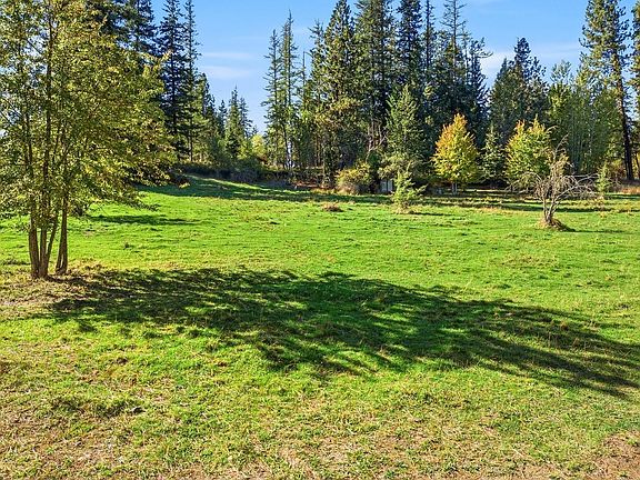 2nd image of 124 Lower Syringa Rd