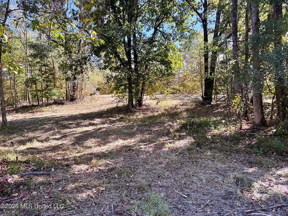 1st image of County Road 211