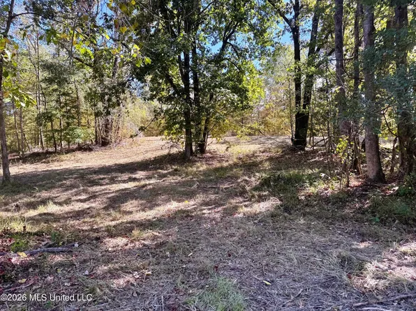 County Road 211, Carrollton, MS 38917