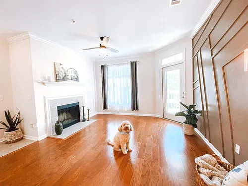 45 Sycamore Ave Photo 1