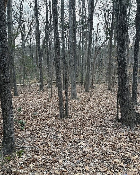 1st image of 0 Doswell Town Rd