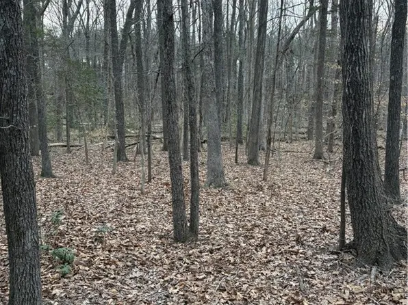 0 Doswell Town Rd, Meherrin, VA 23954