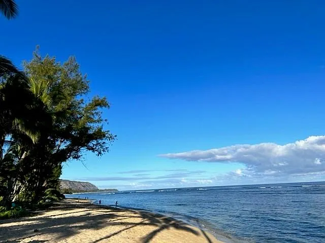 View from beach to the west with miles of white sand and no tourists.