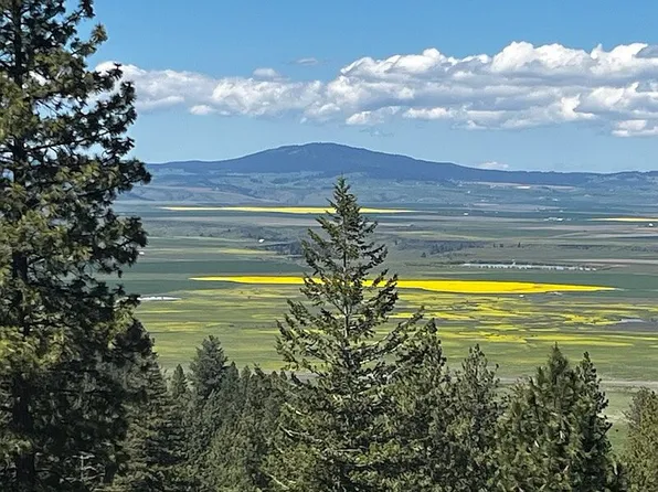 LOT 10 Hidden Springs 2, Grangeville, ID 83530