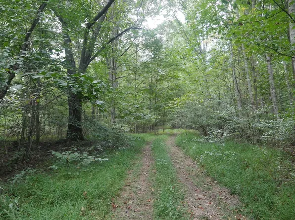 Bryson Cove Rd Lot Wp001, Abingdon, VA 24210
