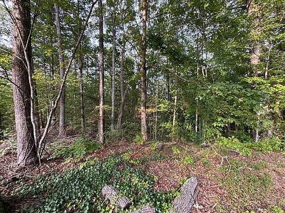 5th image of LOT 8 Madison Ln