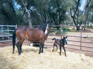 18240 Gray Oak Dr, Rough And Ready, CA 95975