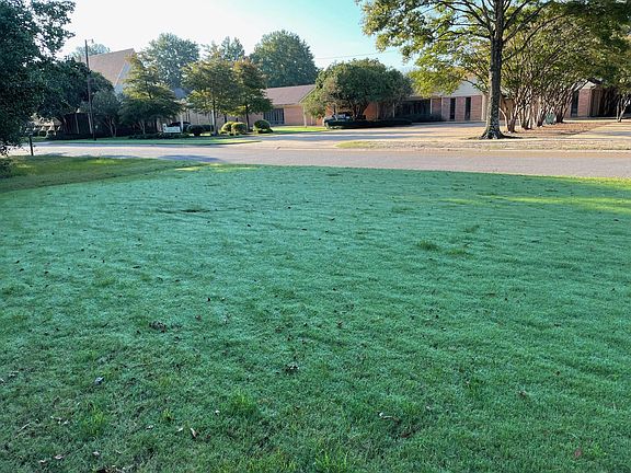 front yard