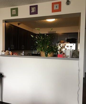 Open window from the kitchen to the living room