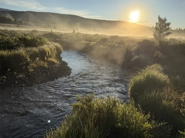 345 High River Ct, Alma, CO 80420