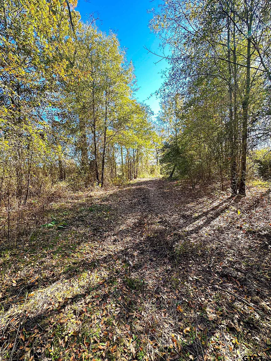 County Road 1301 photo 1