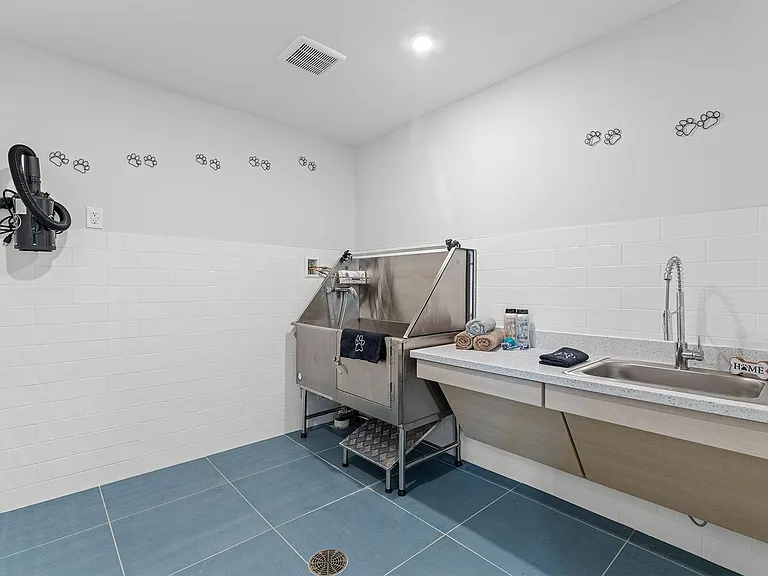 Pet Wash Station