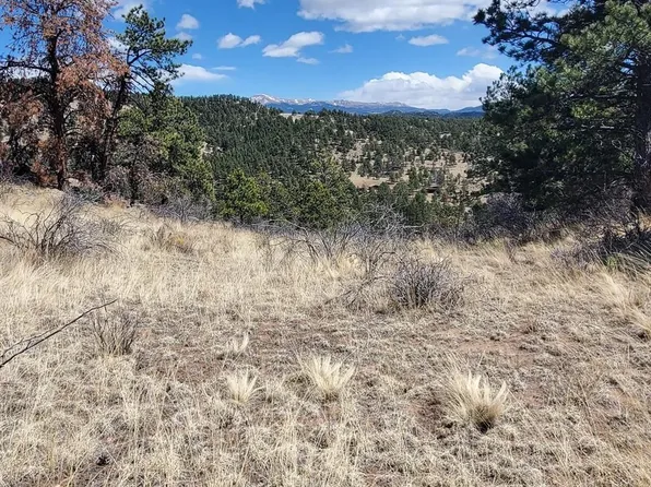 370 Ponderosa Drive, Florissant, CO 80816