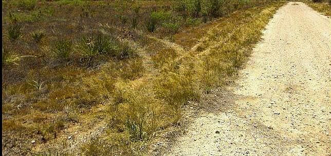 1st image of 0 W County Road 177