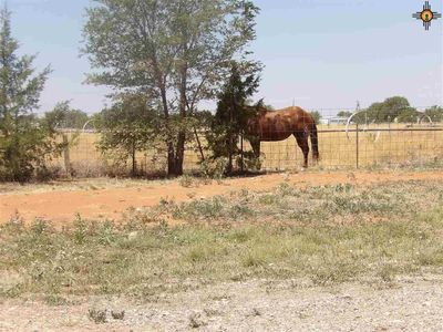 2015 Redwine Ave, Portales, NM, 88130