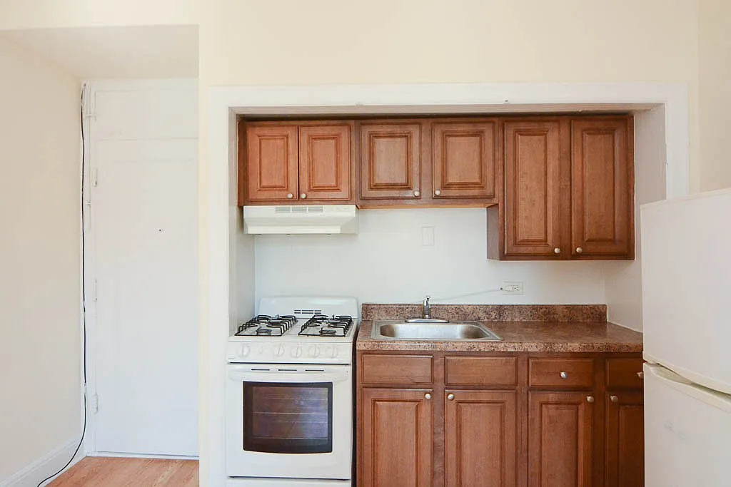 Picturesque Studio, 1 Bath at Diversey + Milwaukee (Logan Square) — Photo 3