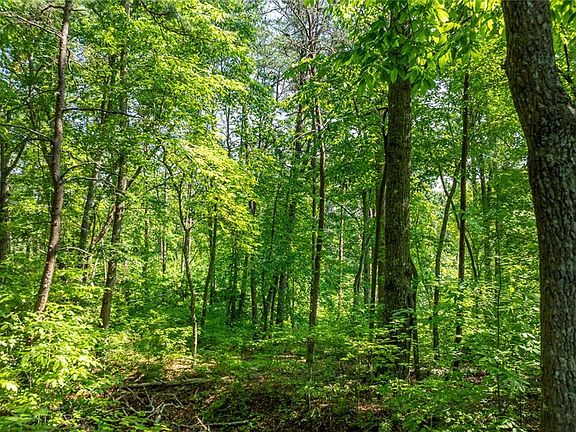 4th image of 34 Windfield Cir