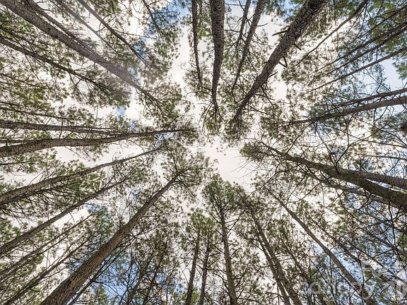 4th image of 0 Horace Price Rd