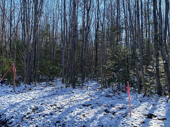 4th image of 9 Tumbledown Lane