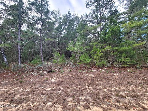 3rd image of Luar Ave