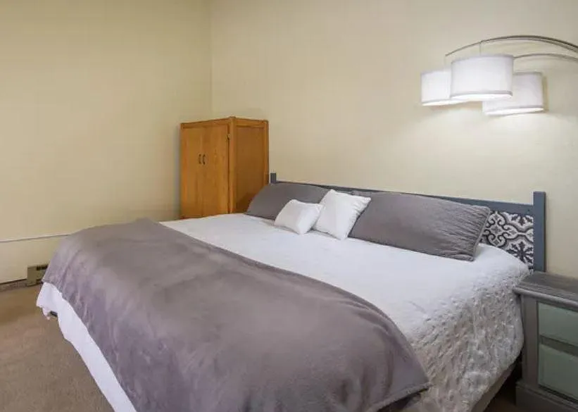 1 bed, 555 sqft, $1,600 — Photo 4
