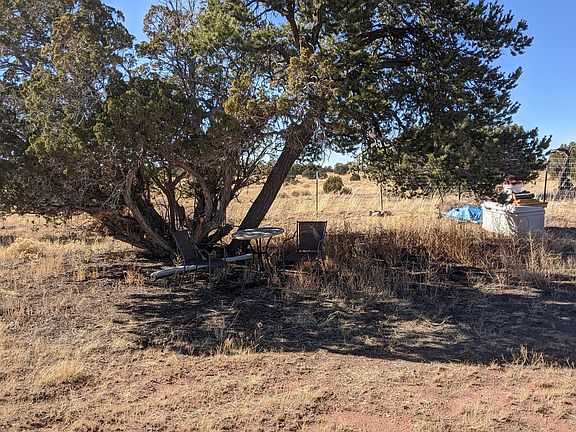 3rd image of 4168 E Crockett Dr