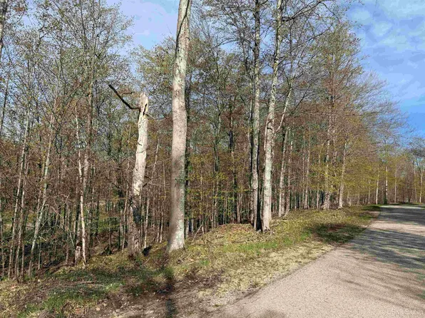 County Road 479, Mc Millan, MI 49853