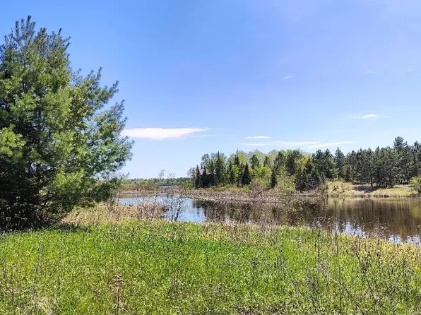 80052 Waters Of Vermilion Rd, Tower, MN 55790