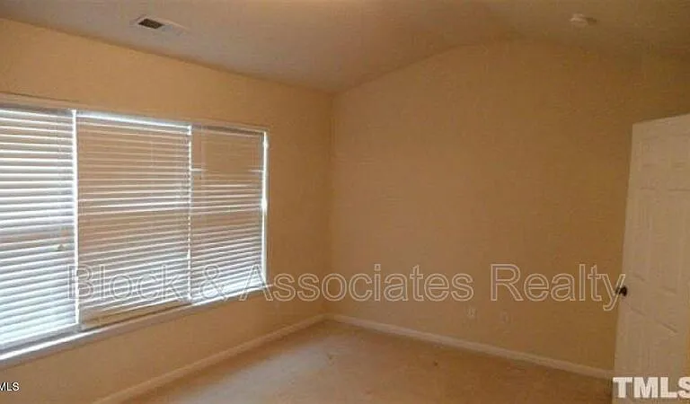 132 Linden Park Ln — Photo 12