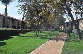 3rd image of 7405 Charmant Dr Unit 2409