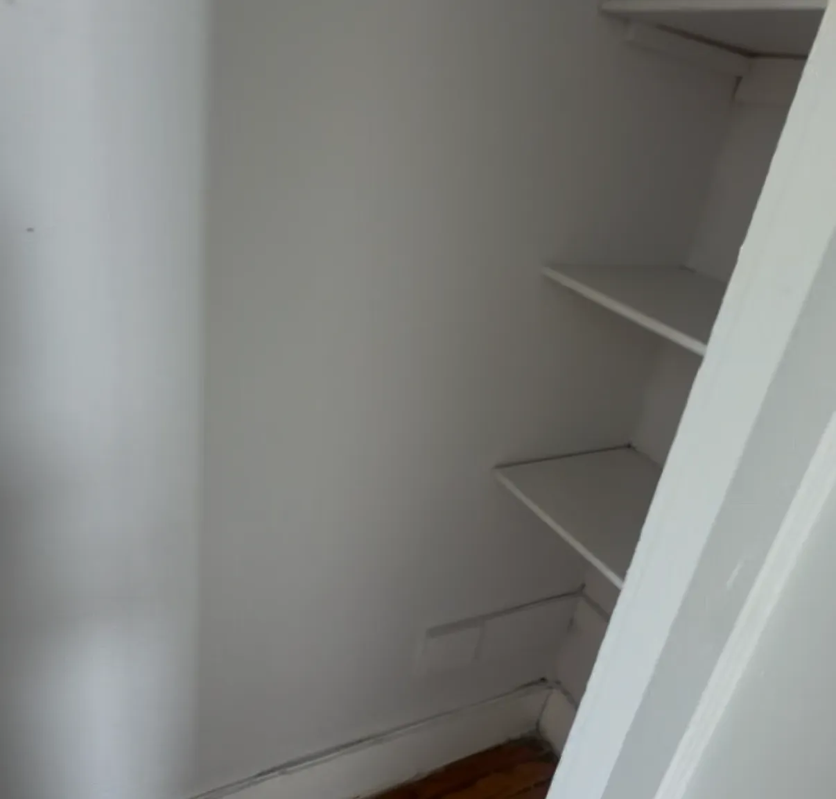 1 bed, $1,650 — Photo 3