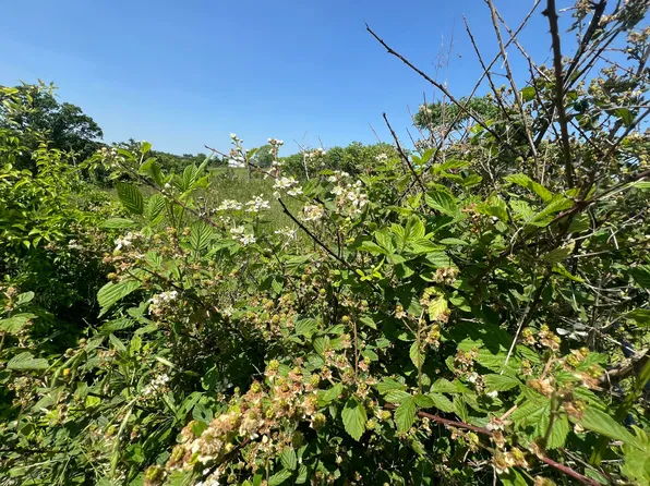 16 Ez St, Dry Ridge, KY 41035