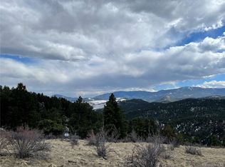 98 Wisp Ln, Bailey, CO 80421