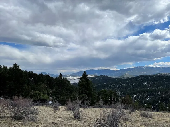 98 Wisp Ln, Bailey, CO 80421
