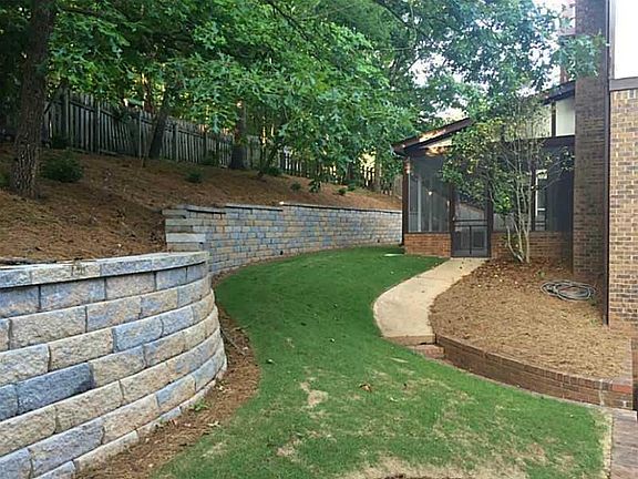 backyard 1