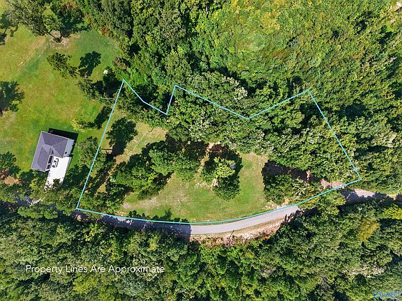 5th image of 302 McCorkle Mountain Rd