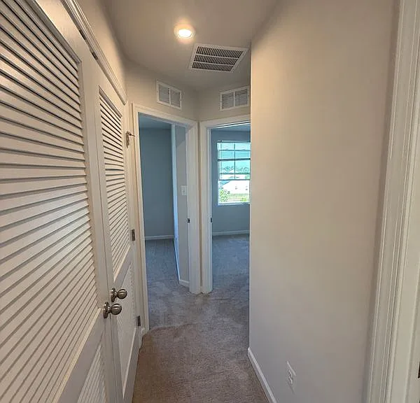 202 Red Bill Ln — Photo 10