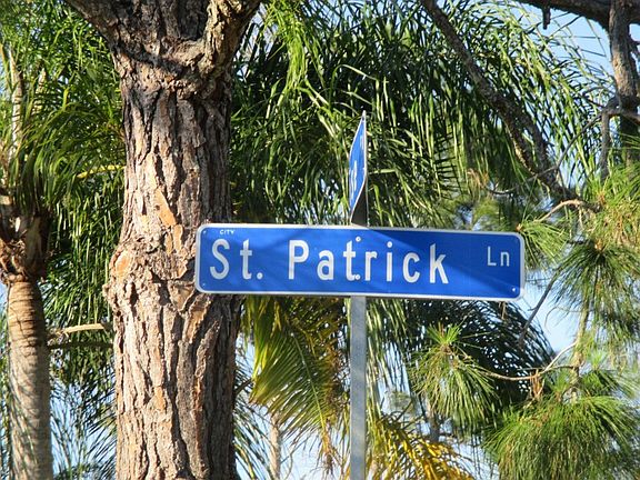 5th image of 10312 Saint Patrick Ln