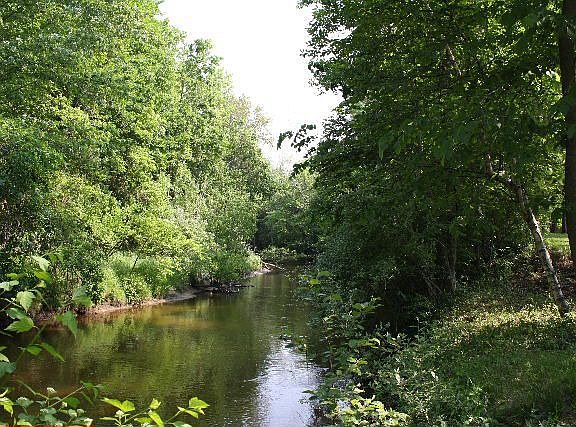 Cedar River
