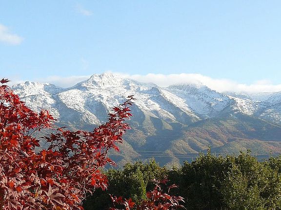 View from back porch