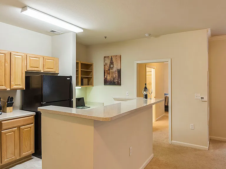 Furnished Kitchen