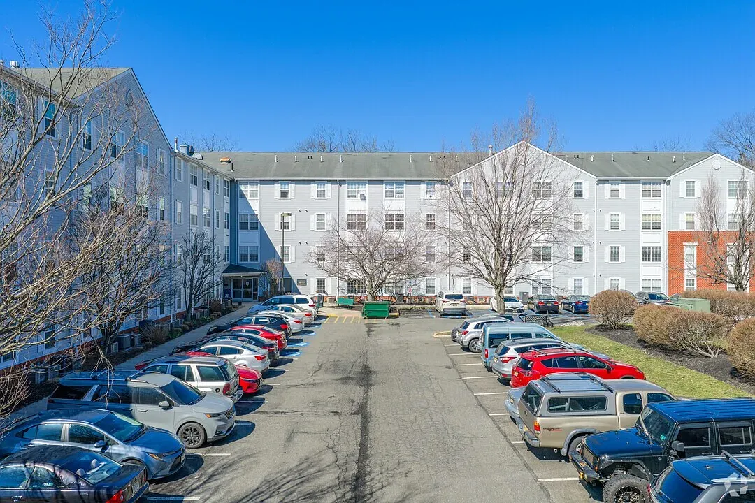 1 bed, $1,450 — Photo 4