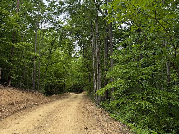 4th image of 166 Ashland Camp Loop