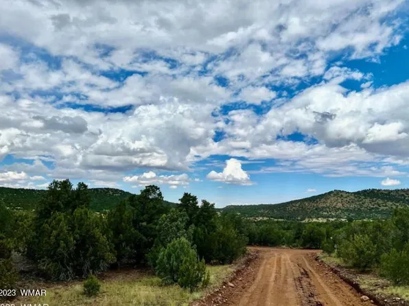 48 Co Rd, Vernon, AZ 85940