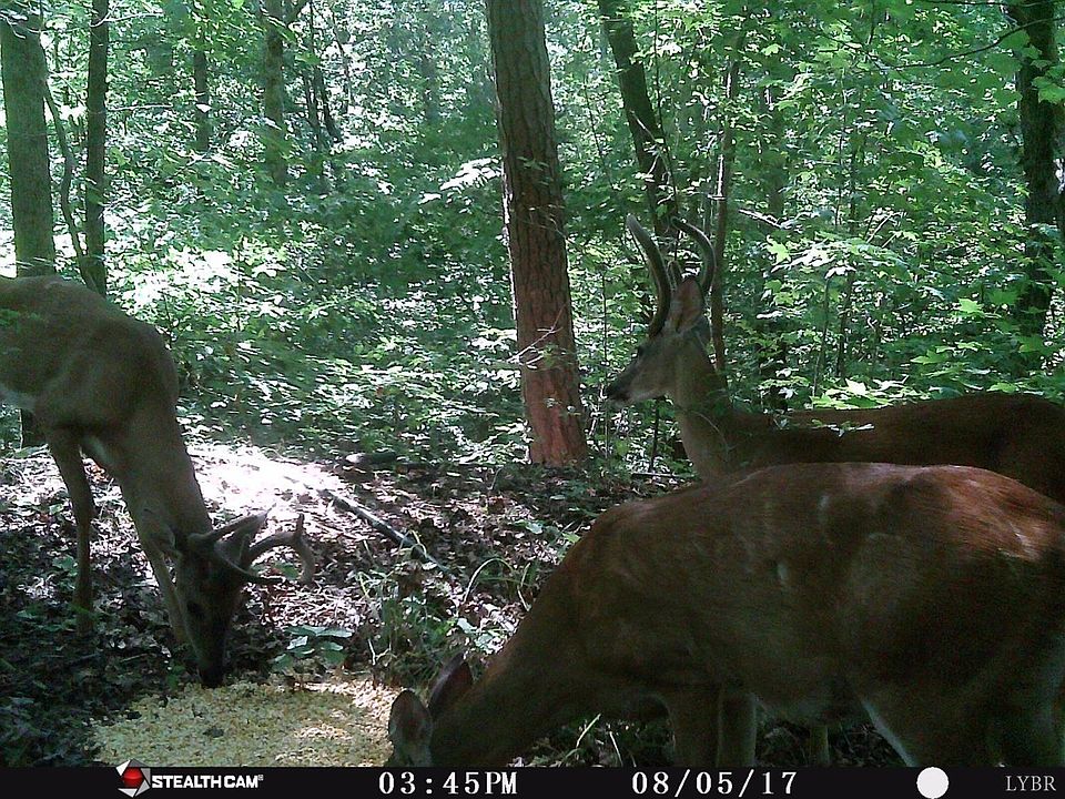 2nd image of 6 Hudson Dr Lot 6