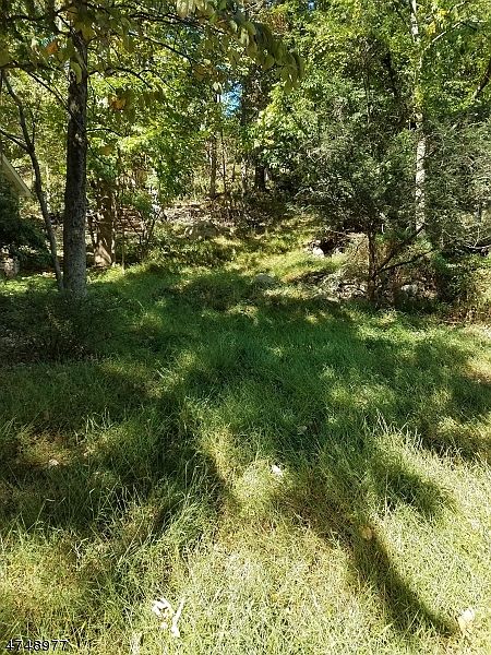 2nd image of 73 Watchtower Rd