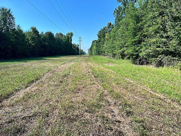 City will clear easment