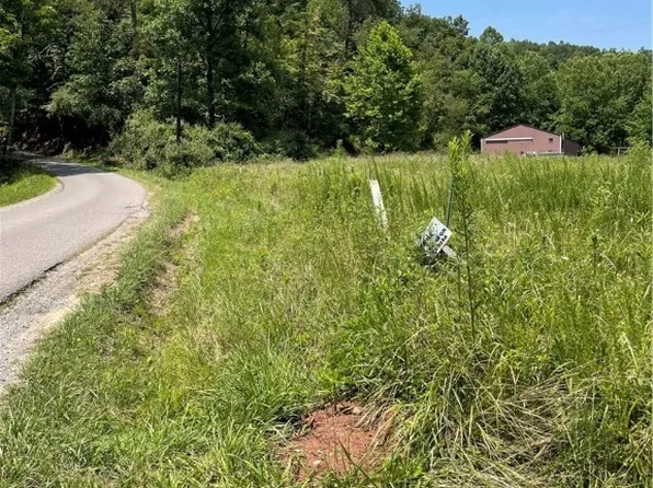 2214 Stave Branch Rd, Fraziers Bottom, WV 25082