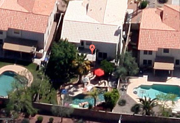 Lush Backyard with pool!